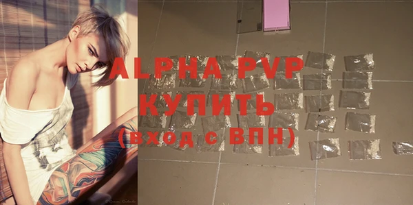 скорость Каменногорск